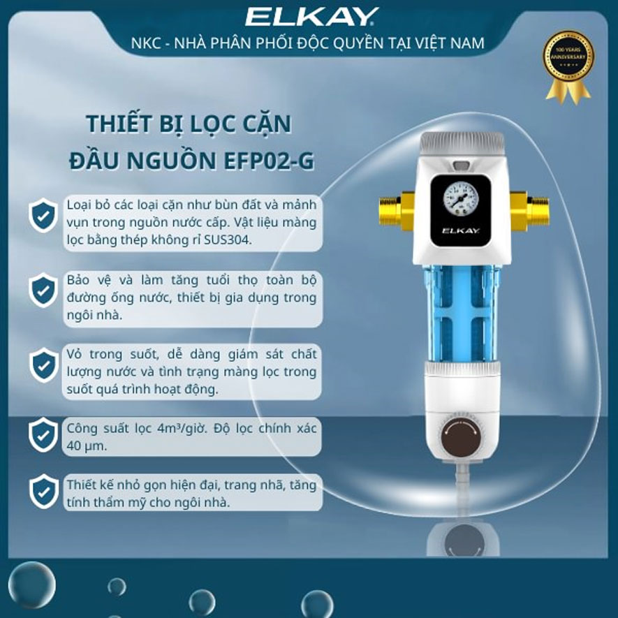 Thiết bị lọc cặn đầu nguồn EFP01-G