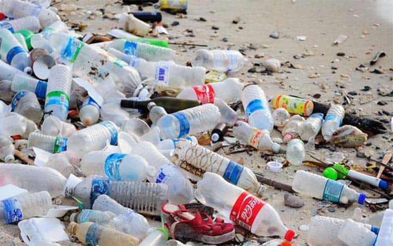 Tác hại của chai nhựa nghiêm trọng hơn những gì bạn tưởng